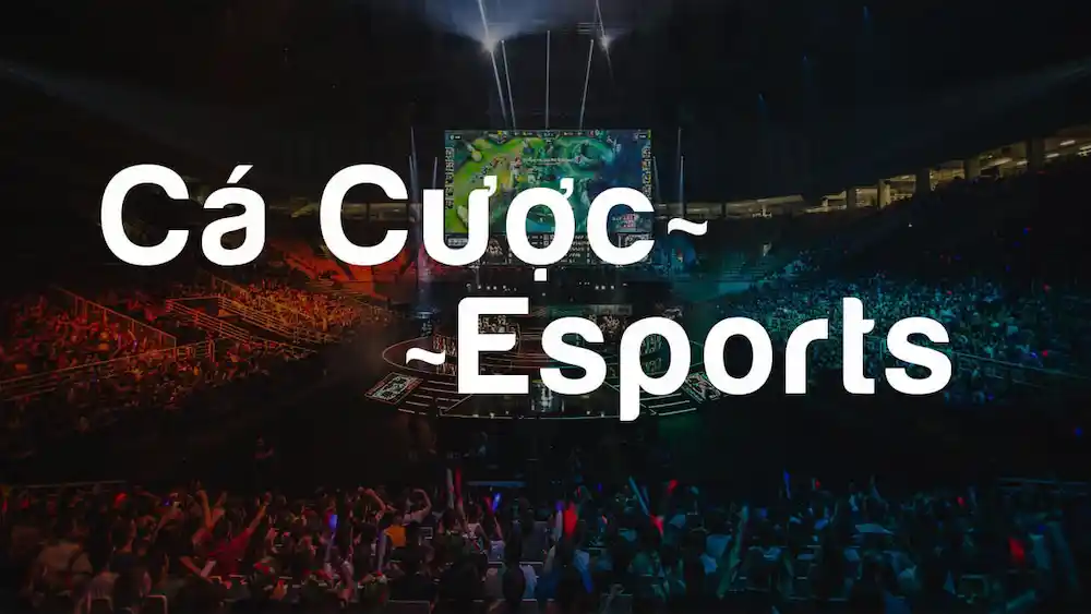 Cá cược Esports tại PG88